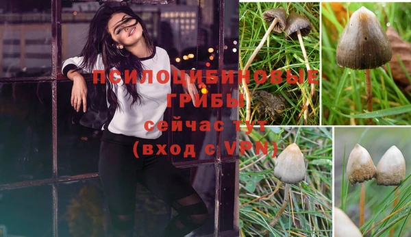 индика Михайловка