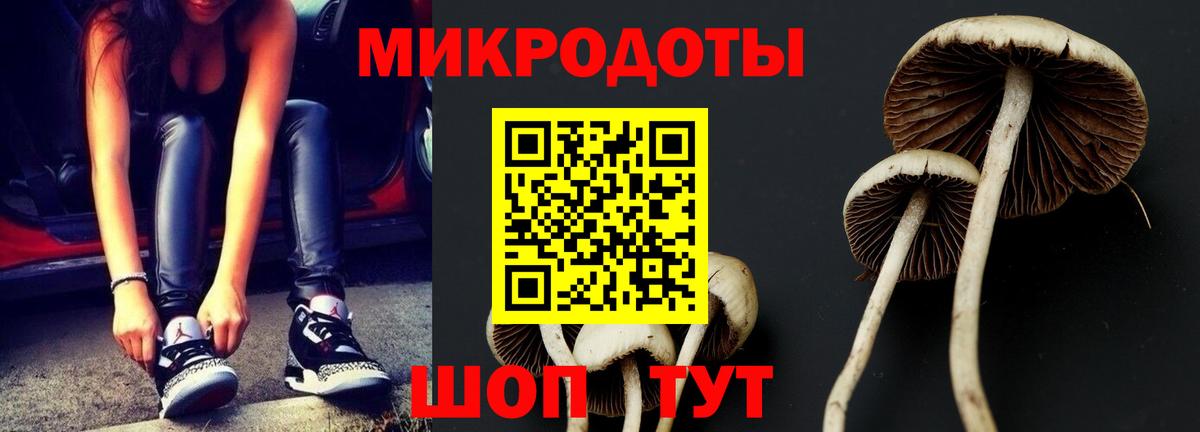 Псилоцибиновые грибы Psilocybe  Галлюциногенные грибы Psilocybe  Вход с VPN  Нижний Тагил 